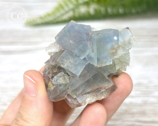 Hesselbach Fluorite Specimen #4