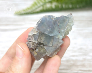 Hesselbach Fluorite Specimen #4