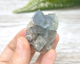 Hesselbach Fluorite Specimen #4