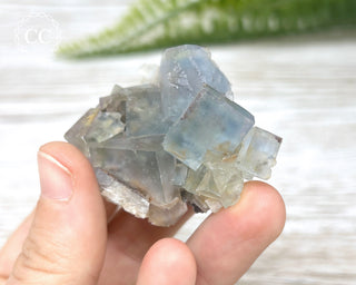 Hesselbach Fluorite Specimen #4