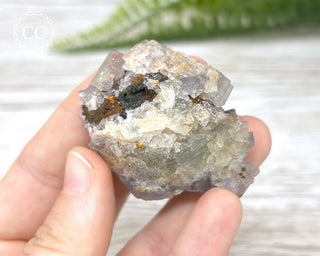 Hesselbach Fluorite Specimen #4