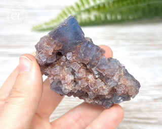 Hesselbach Fluorite Specimen #1