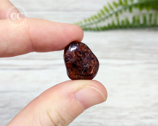 Hessonite Garnet Tumbled Crystal