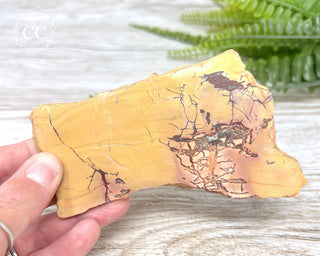 High Atlas Jasper Slice #5