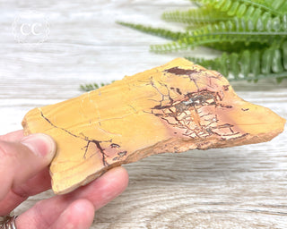 High Atlas Jasper Slice #5