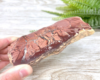 High Atlas Jasper Slice #4