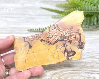 High Atlas Jasper Slice #5