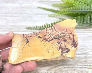 High Atlas Jasper Slice #5
