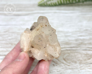 Hollandite in Quartz Cluster #1