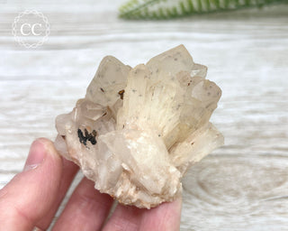 Hollandite in Quartz Cluster #1