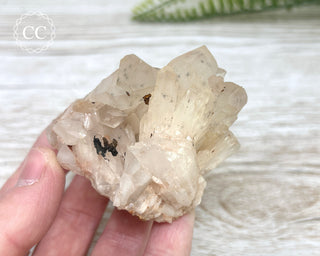 Hollandite in Quartz Cluster #1