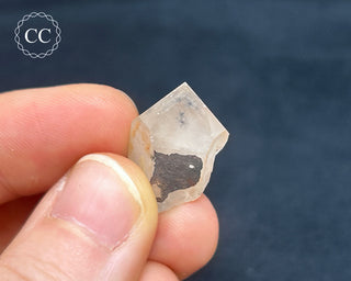 Hollandite in Quartz #2