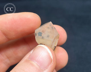 Hollandite in Quartz #2