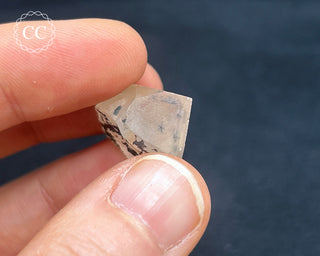 Hollandite in Quartz #2