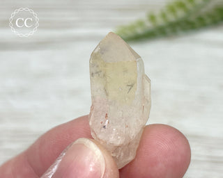 Hollandite in Quartz #3