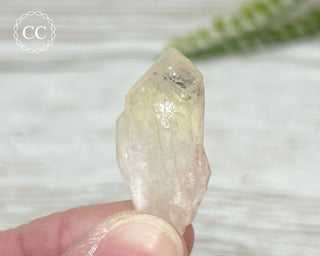 Hollandite in Quartz #3