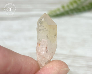 Hollandite in Quartz #3