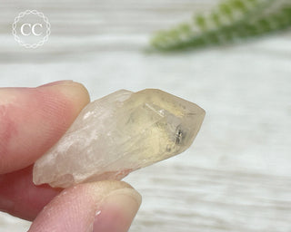 Hollandite in Quartz #3