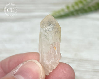 Hollandite in Quartz #3