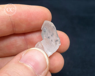 Hollandite in Quartz #6