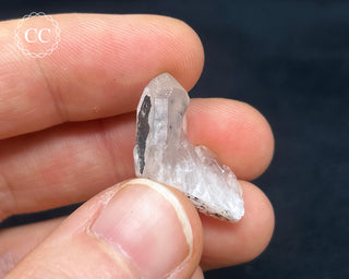 Hollandite in Quartz #6