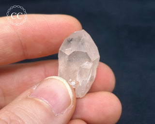 Hollandite in Quartz #8