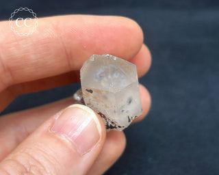 Hollandite in Quartz #1