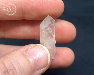 Hollandite in Quartz #10