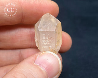 Hollandite in Quartz #11