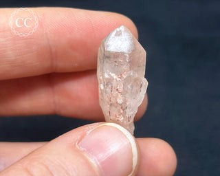 Hollandite in Quartz #13