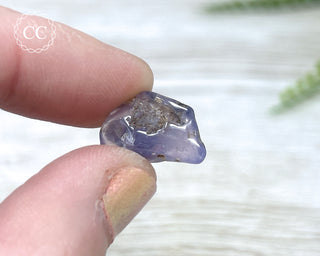 Holley Blue Agate #5