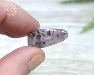 Holley Blue Agate #8