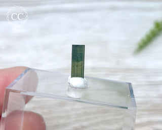 Hollow Green Tourmaline Crystal - Barra do Salinas #1