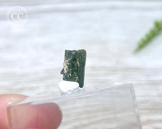 Hollow Green Tourmaline Crystal - Barra do Salinas #9