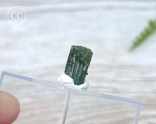 Hollow Green Tourmaline Crystal - Barra do Salinas #9