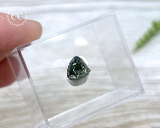 Hollow Green Tourmaline Crystal - Barra do Salinas #9