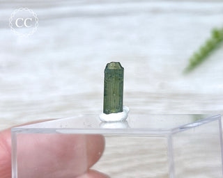 Hollow Green Tourmaline Crystal - Barra do Salinas #10