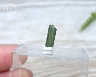 Hollow Green Tourmaline Crystal - Barra do Salinas #10