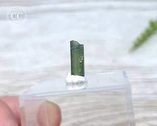 Hollow Green Tourmaline Crystal - Barra do Salinas #10