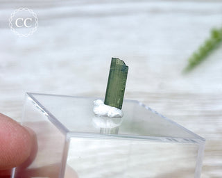 Hollow Green Tourmaline Crystal - Barra do Salinas #10