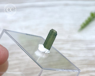 Hollow Green Tourmaline Crystal - Barra do Salinas #10