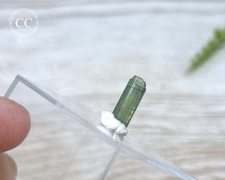 Hollow Green Tourmaline Crystal - Barra do Salinas #10