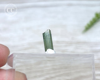 Hollow Green Tourmaline Crystal - Barra do Salinas #10