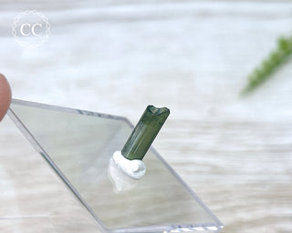 Hollow Green Tourmaline Crystal - Barra do Salinas #10