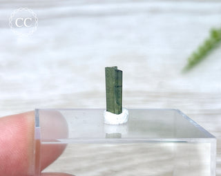 Hollow Green Tourmaline Crystal - Barra do Salinas #11