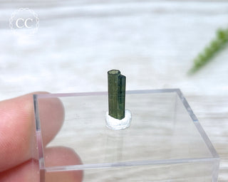 Hollow Green Tourmaline Crystal - Barra do Salinas #11