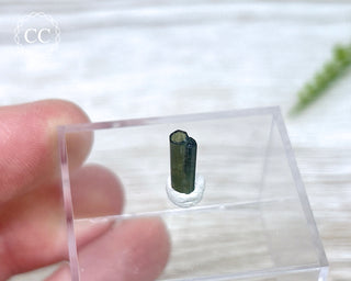 Hollow Green Tourmaline Crystal - Barra do Salinas #11