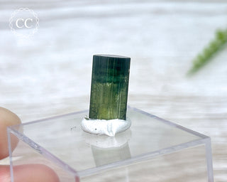 Hollow Green Tourmaline Crystal - Barra do Salinas #2