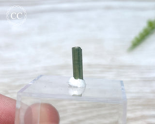 Hollow Green Tourmaline Crystal - Barra do Salinas #11