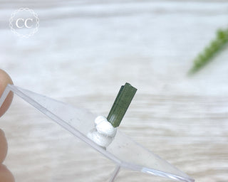Hollow Green Tourmaline Crystal - Barra do Salinas #11